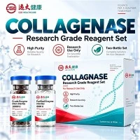 CGE Collagenase C-BAL-01 Ar gyfer Datgysylltiad Meinwe Cytbwys